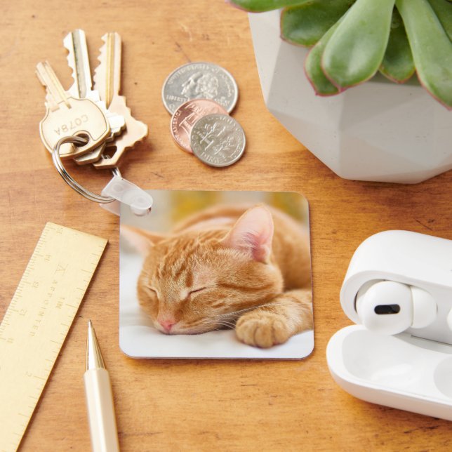 Cutest Baby Animals | Sleeping Ginger Cat Keychain (Desk)
