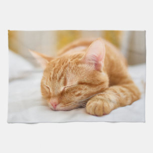 Cutest Baby Animals Sleeping Ginger Cat Kitchen Towel