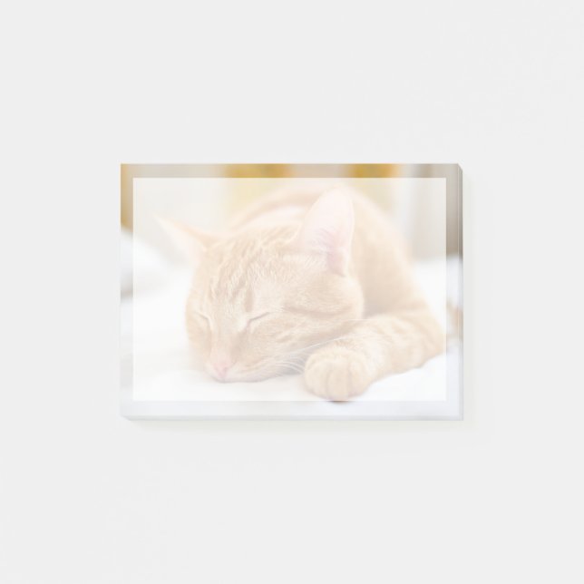 Cutest Baby Animals | Sleeping Ginger Cat Post-it Notes (Front)