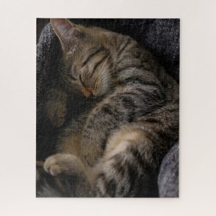 Cutest Baby Animals   Sleeping Tabby Cat Jigsaw Puzzle