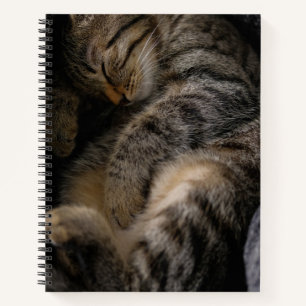 Cutest Baby Animals   Sleeping Tabby Cat Notebook