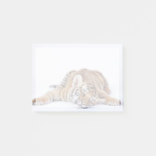 Cutest Baby Animals | Sleepy Baby Tiger Cub Post-it Notes (Front)