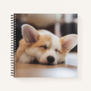 Cutest Baby Animals   Sleepy Corgi Notebook