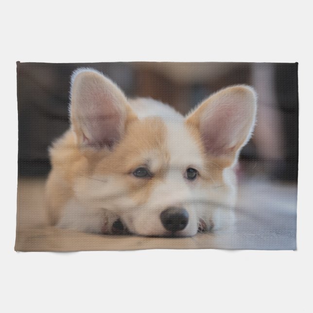 Cutest Baby Animals | Sleepy Corgi Puppy Kitchen Towel (Horizontal)