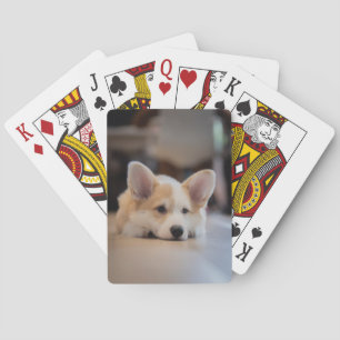 Cutest Baby Animals Sleepy Corgi Puppy Playing Cards