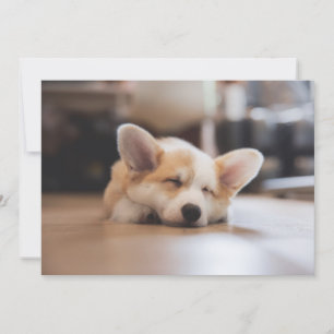 Cutest Baby Animals Sleepy Corgi Thank You Card