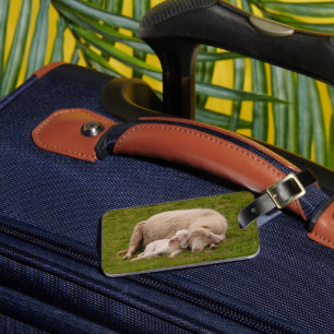 Cutest Baby Animals   Smiling Sleeping Lamb Luggage Tag