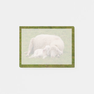 Cutest Baby Animals Smiling Sleeping Lamb Post-it Notes