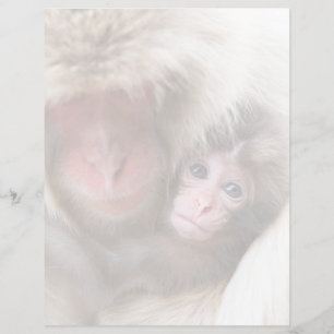 Cutest Baby Animals Snow Monkey