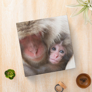 Cutest Baby Animals Snow Monkey Binder