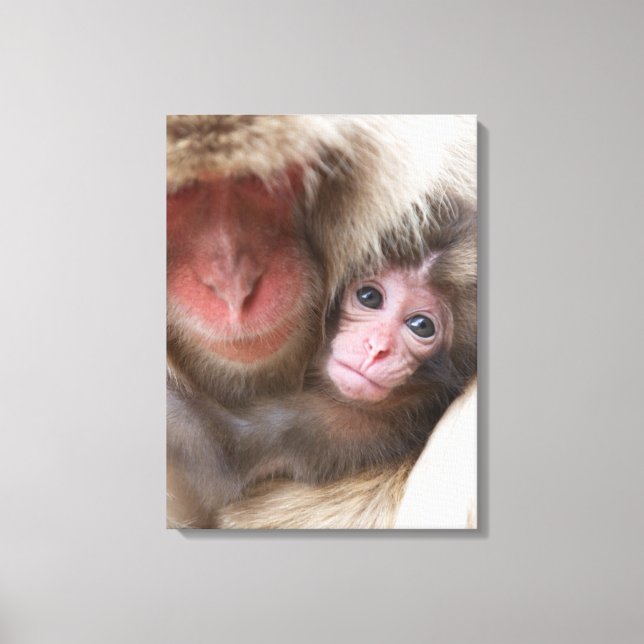 Cutest Baby Animals | Snow Monkey Canvas Print (Front)