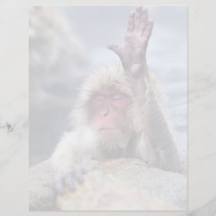 Cutest Baby Animals Snow Monkey Face