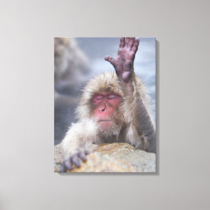 Cutest Baby Animals Snow Monkey Face Canvas Print