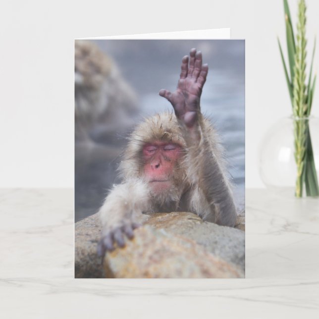 Cutest Baby Animals | Snow Monkey Face Card (Front)