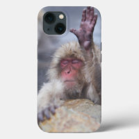 Cutest Baby Animals | Snow Monkey Face