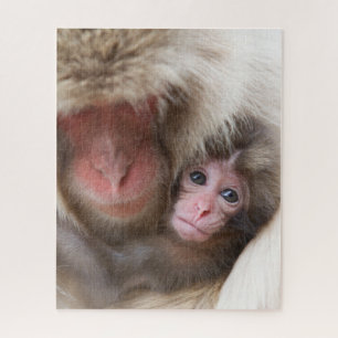 Cutest Baby Animals   Snow Monkey Jigsaw Puzzle