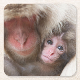 Cutest Baby Animals Snow Monkey Square Paper Coaster