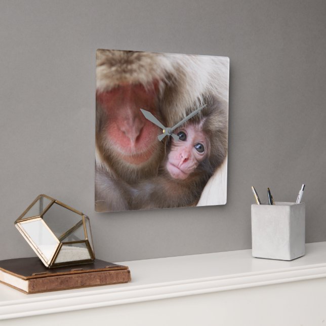 Cutest Baby Animals | Snow Monkey Square Wall Clock (Office)