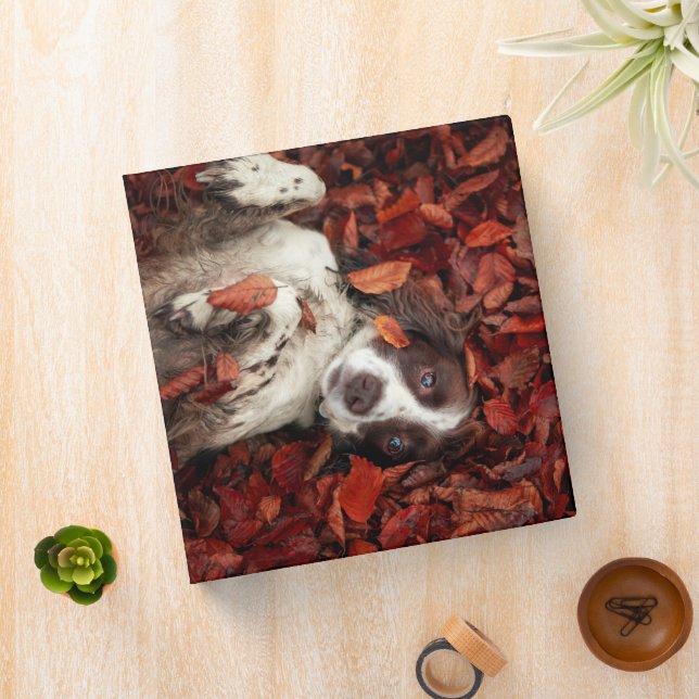 Cutest Baby Animals | Spaniel in Autumn Leaves Binder (In Situ)