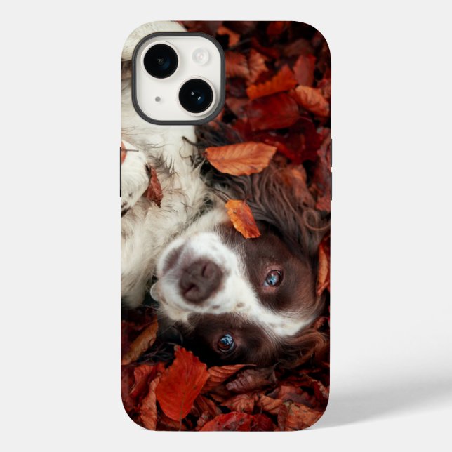 Cutest Baby Animals | Spaniel in Autumn Leaves Case-Mate iPhone Case (Back)