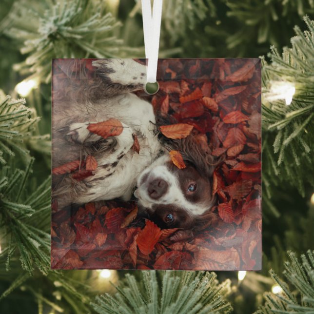 Cutest Baby Animals | Spaniel in Autumn Leaves Glass Ornament (Insitu)