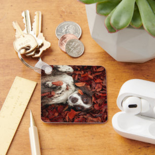 Cutest Baby Animals Spaniel in Autumn Leaves Keychain