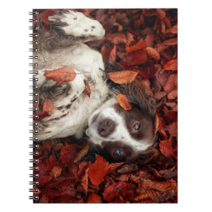 Cutest Baby Animals Spaniel in Autumn Leaves Notebook