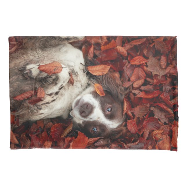 Cutest Baby Animals | Spaniel in Autumn Leaves Pillowcase (Front)