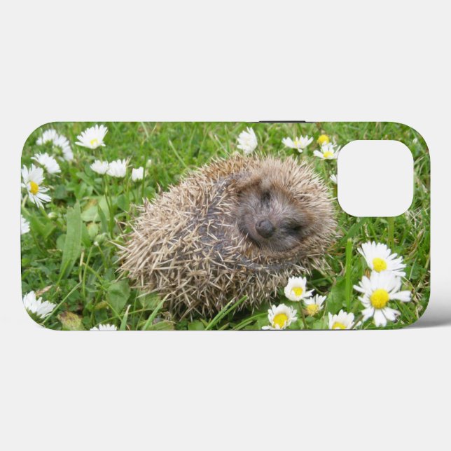 Cutest Baby Animals | Spanish Hedgehog Case-Mate iPhone Case (Back (Horizontal))