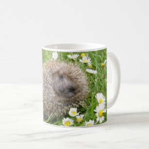 Cutest Baby Animals   Spanish Hedgehog Coffee Mug
