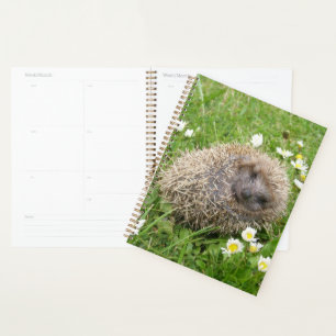 Cutest Baby Animals Spanish Hedgehog Planner