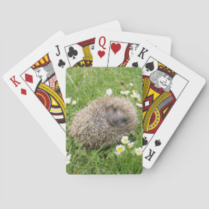 Cutest Baby Animals   Spanish Hedgehog Playing Cards