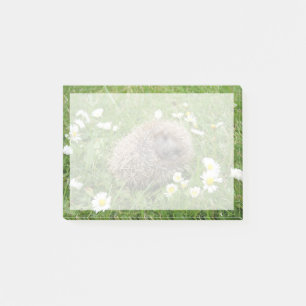 Cutest Baby Animals Spanish Hedgehog Post-it Notes