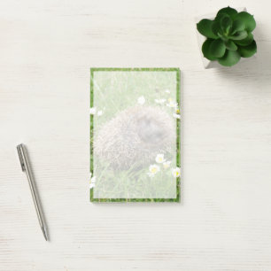 Cutest Baby Animals Spanish Hedgehog Post-it Notes