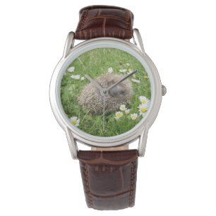 Cutest Baby Animals   Spanish Hedgehog Watch