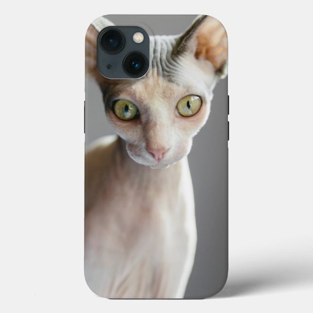 Cutest Baby Animals | Sphinx Cat Case-Mate iPhone Case (Back)