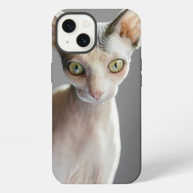 Cutest Baby Animals | Sphinx Cat iPhone Case (Back)