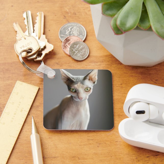 Cutest Baby Animals | Sphinx Cat Keychain (Desk)