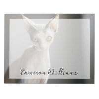 Cutest Baby Animals | Sphinx Cat