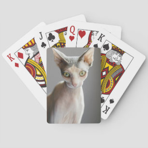 Cutest Baby Animals Sphinx Cat Playing Cards