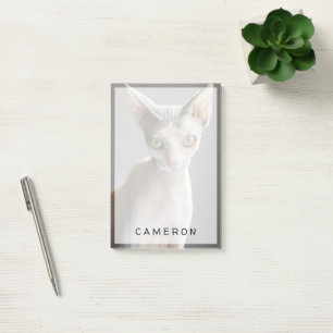 Cutest Baby Animals Sphinx Cat Post-it Notes