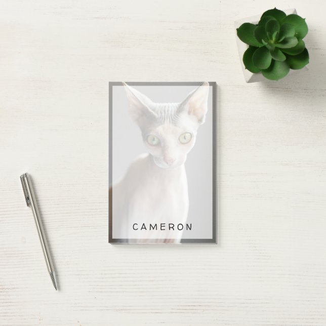 Cutest Baby Animals | Sphinx Cat Post-it Notes (Office)