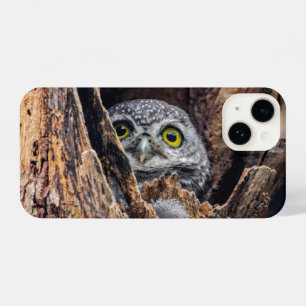 Cutest Baby Animals Spotted Owlet iPhone 14 Case
