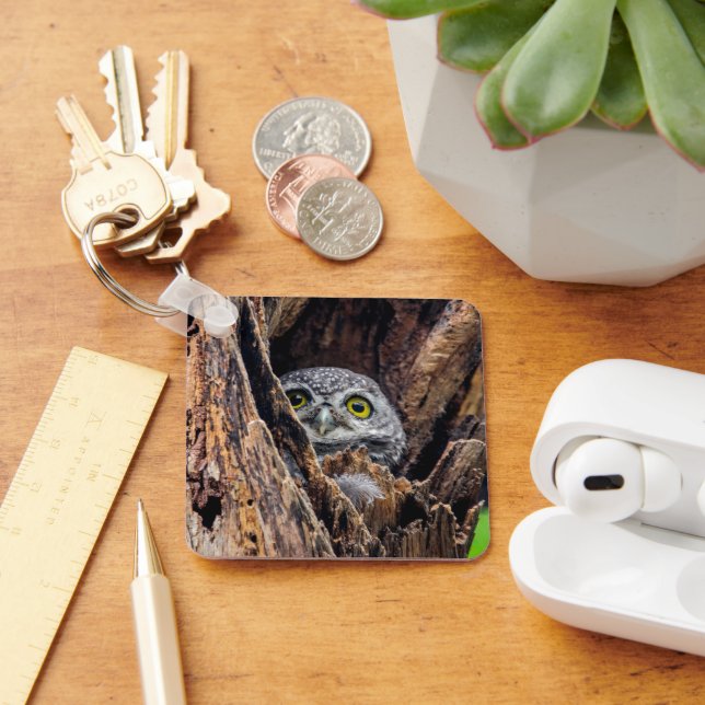 Cutest Baby Animals | Spotted Owlet Keychain (Desk)