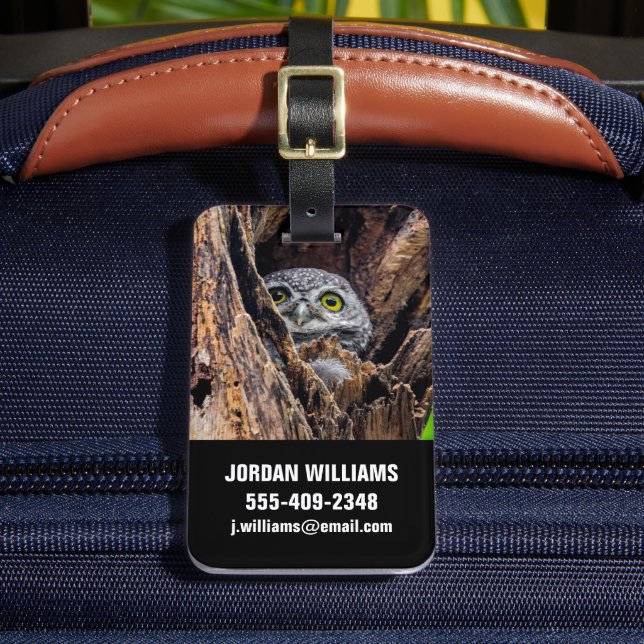 Cutest Baby Animals | Spotted Owlet Luggage Tag (Front Insitu 2)