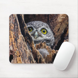 Cutest Baby Animals Spotted Owlet Mouse Pad