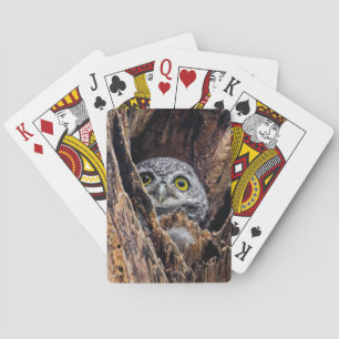 Cutest Baby Animals Spotted Owlet Playing Cards