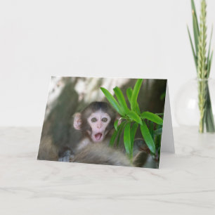 Cutest Baby Animals Surprised Snow Monkey Card