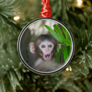 Cutest Baby Animals   Surprised Snow Monkey Metal Ornament
