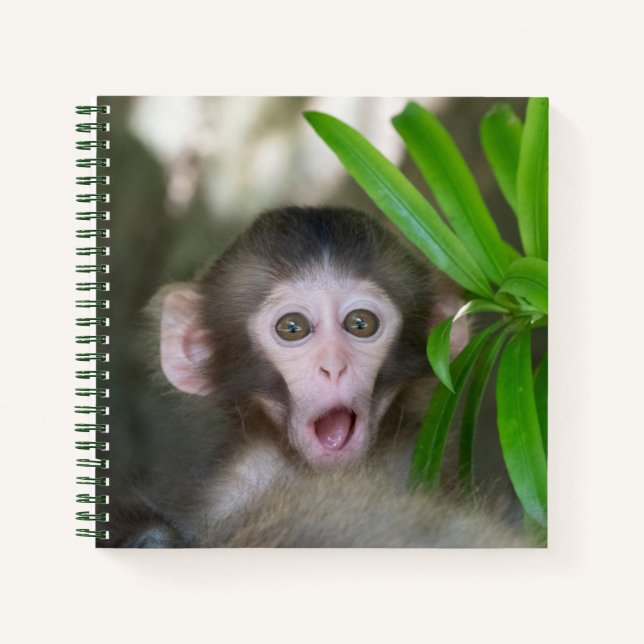 Cutest Baby Animals | Surprised Snow Monkey Notebook (Front)